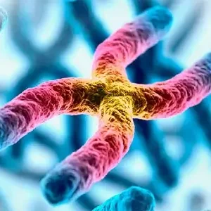 Aplicaciones de la Citogenética en la Práctica Clínica