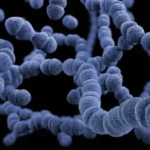 Taller de FISH: de la técnica al diagnóstico clínico